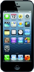 Apple iPhone 5 16GB - Ачинск