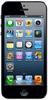 Смартфон Apple iPhone 5 16Gb Black & Slate - Ачинск